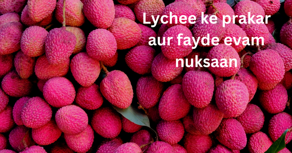 Lychee ke prakar aur fayde evam nuksaan