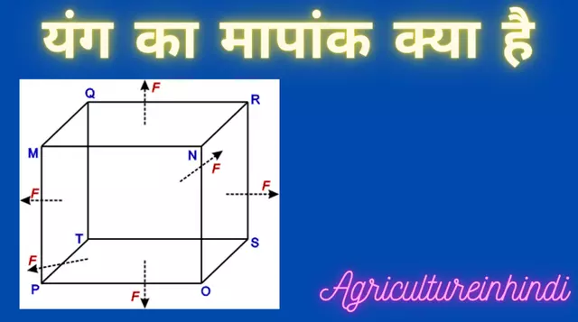 Young's Modulus in Hindi