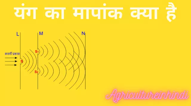 Young's Modulus in Hindi (यंग का मापांक)