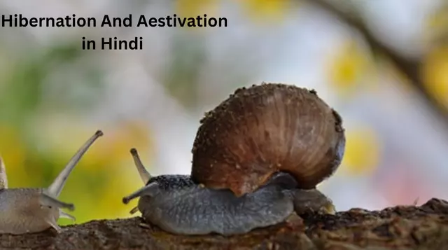 Hibernation And Aestivation in Hindi 