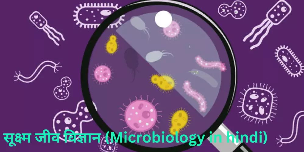 सूक्ष्म जीव विज्ञान (Microbiology in hindi)