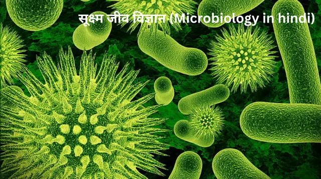 सूक्ष्म जीव विज्ञान (Microbiology in hindi)