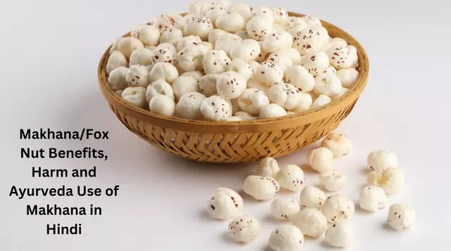 Makhana/Fox Nut Benefits, Harm and Ayurveda Use of Makhana in Hindi