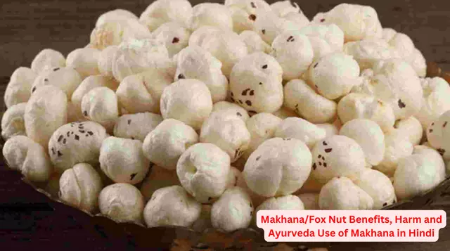 Makhana/Fox Nut Benefits, Harm and Ayurveda Use of Makhana in Hindi