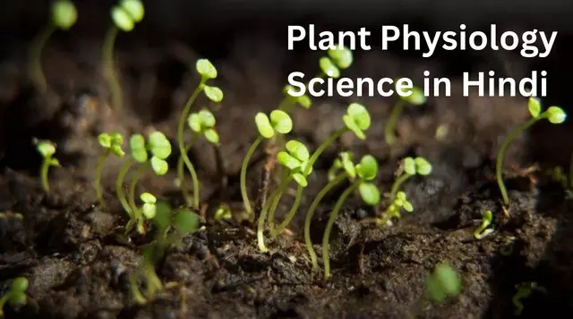 Plant Physiology Science in Hindi 