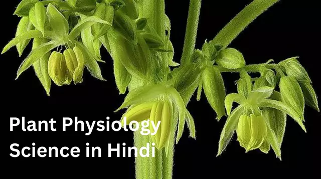 Plant Physiology Science in Hindi 