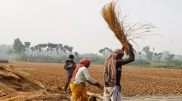 भारतीय अर्थव्यवस्था के लिए कृषि महत्वपूर्ण(Agriculture Important for Indian economy)