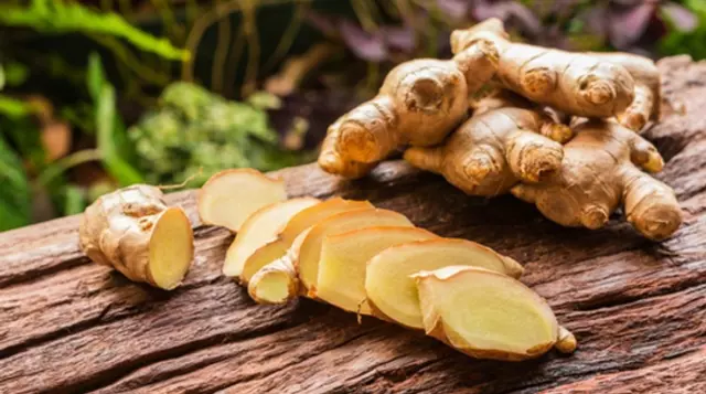 Ginger Farming in India Business in Hindi