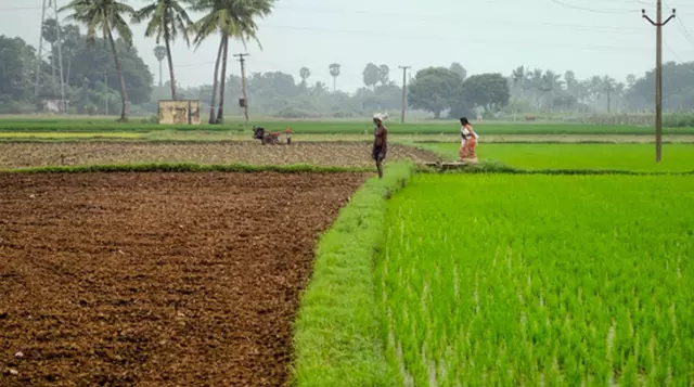 भारतीय अर्थव्यवस्था के लिए कृषि महत्वपूर्ण(Agriculture Important for Indian economy)