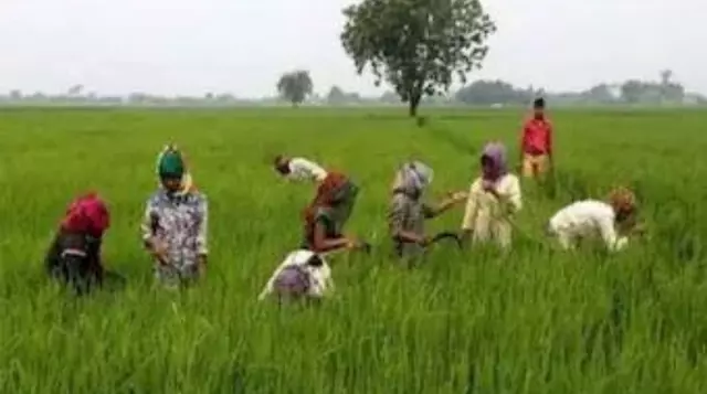 भारतीय अर्थव्यवस्था के लिए कृषि महत्वपूर्ण(Agriculture Important for Indian economy)