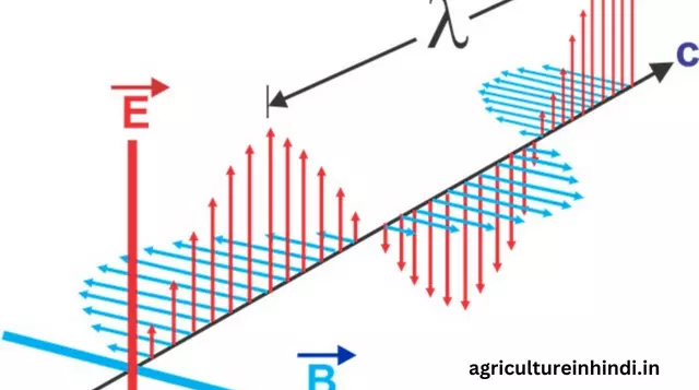 (Transverse wave in Hindi)अनुप्रस्थ तरंग और उदाहरण, फॉर्मूले