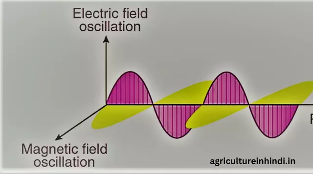 (Transverse wave in Hindi)अनुप्रस्थ तरंग और उदाहरण, फॉर्मूले