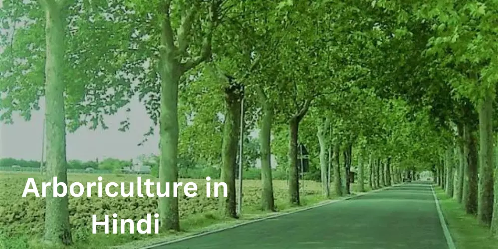 Arboriculture in Hindi- वृक्षारोपण पेड़ों