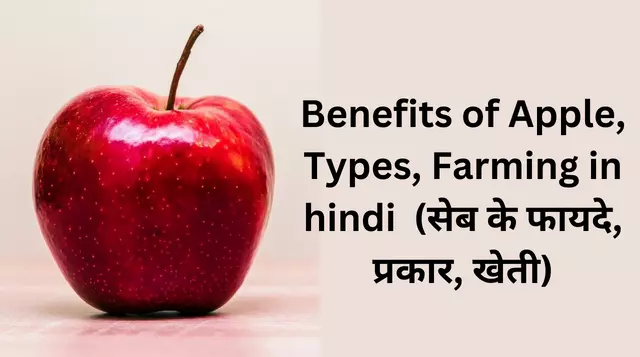 Benefits of Apple, Types, Farming in hindi