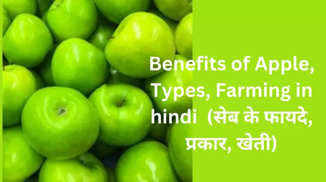 Benefits of Apple, Types, Farming in hindi