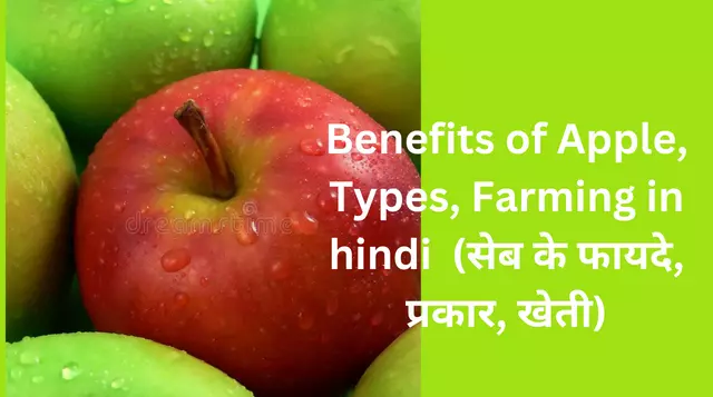 Benefits of Apple, Types, Farming in hindi