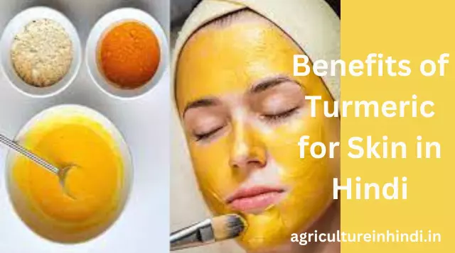 Benefits of Turmeric for Skin in Hindi|| त्वचा के लिए हल्दी के फायदे