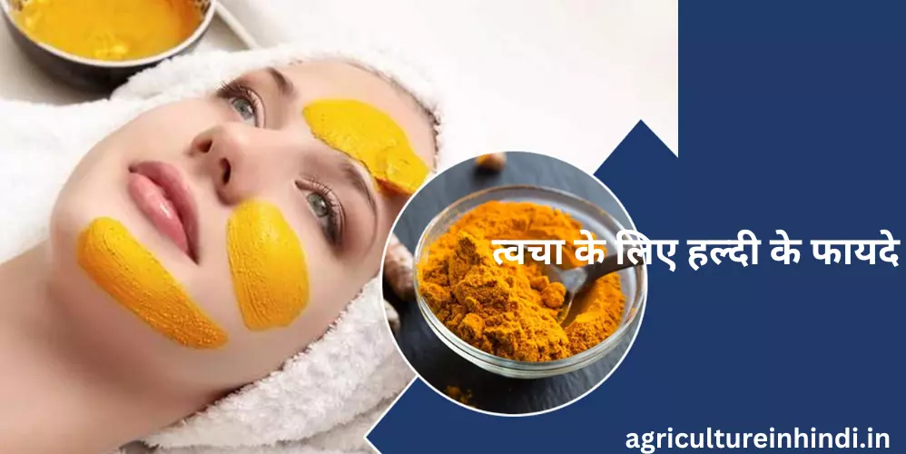 Benefits of Turmeric for Skin in Hindi|| त्वचा के लिए हल्दी के फायदे