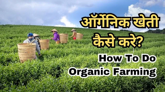 Organic Farming in Hindi | ऑर्गेनिक खेती क्या है कब और कैसे करें