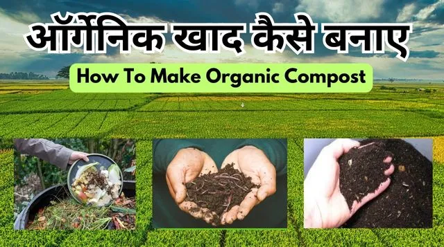 Organic Farming in Hindi | ऑर्गेनिक खेती क्या है कब और कैसे करें