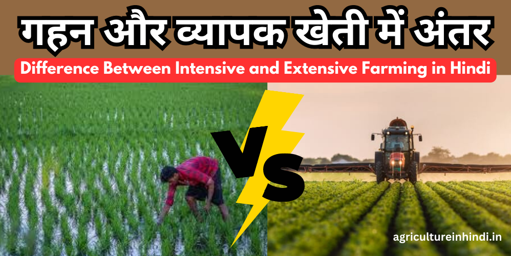 गहन और व्यापक खेती में अंतर | difference between intensive and extensive farming in Hindi