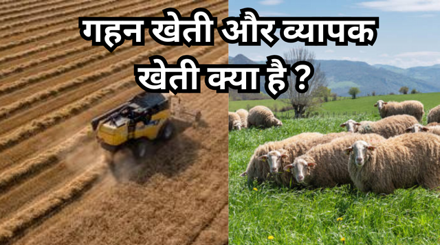 गहन और व्यापक खेती में अंतर | difference between intensive and extensive farming in Hindi