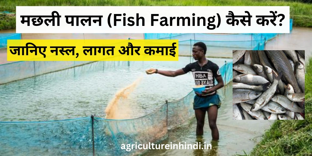 मछली पालन (Fish Farming) कैसे करें? जानिए नस्ल, लागत और कमाई