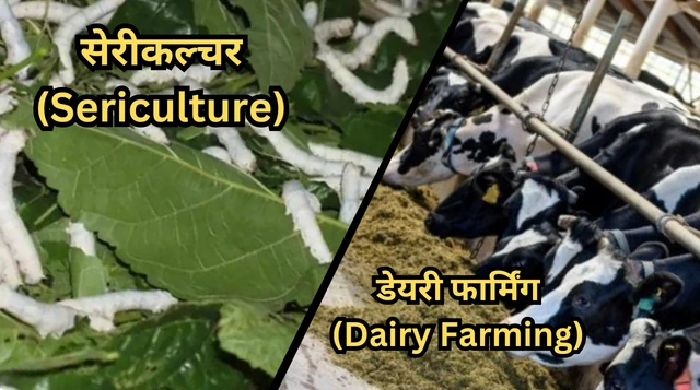 Types of Farming in India | खेती के प्रकार, सुविधाएँ और चुनौतियां