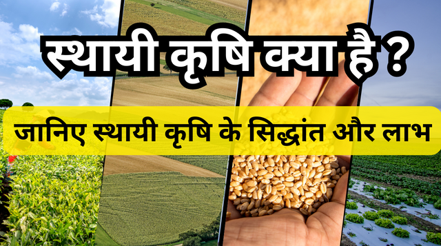 Sustainable Agriculture in Hindi | स्थायी कृषि क्या है ‌इसके लाभ, उद्देश्य और महत्व