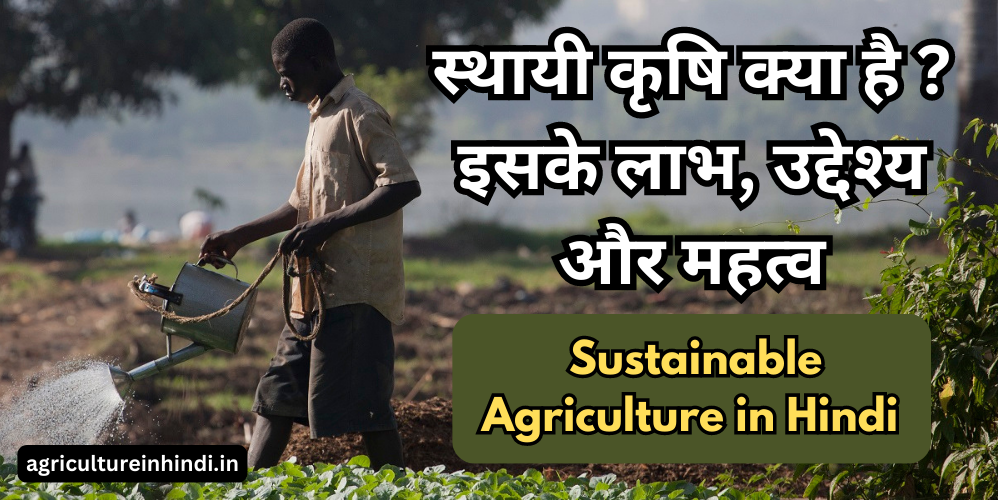 Sustainable Agriculture in Hindi | स्थायी कृषि क्या है ‌इसके लाभ, उद्देश्य और महत्व