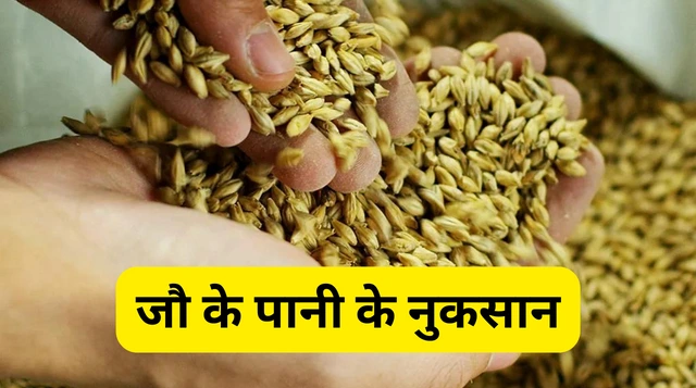 Barley Water Benefits: जौ के पानी के फायदे, स्वास्थ्य लाभ और नुकसान