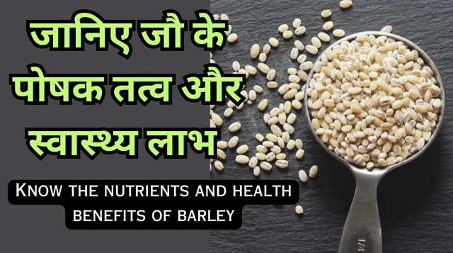 Barley Water Benefits: जौ के पानी के फायदे, स्वास्थ्य लाभ और नुकसान