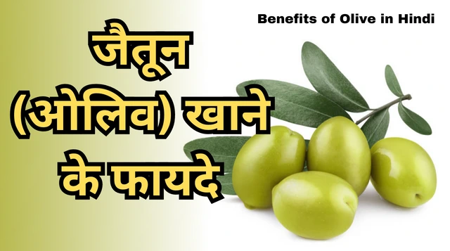 Benefits of Olive in Hindi | ओलिव (जैतून) के फायदे, उपयोग और नुकसान