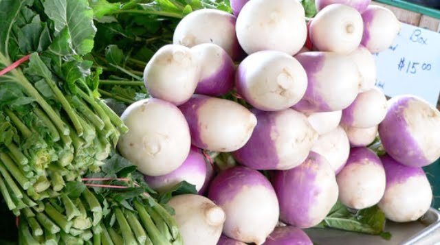 Cultivation of Turnip, Land Selection, Profit & Loss, 7-8 Months Cultivation