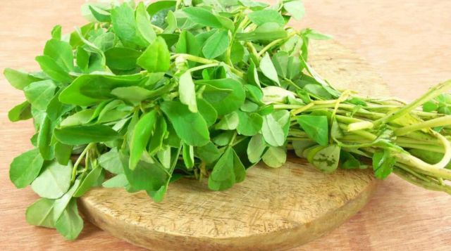 Fenugreek cultivation, advantages and disadvantages of eating, climate and soil, weather