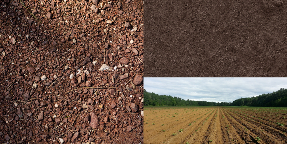 Soil of India, 9 types of soil, crops grown, new technology, quality of all