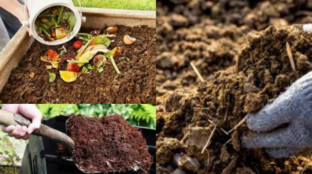 जैविक खाद बनाने की विधि, सम्पूर्ण जानकारी । Method of making organic fertilizer