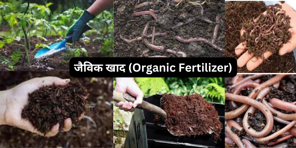 जैविक खाद बनाने की विधि, सम्पूर्ण जानकारी । Method of making organic fertilizer